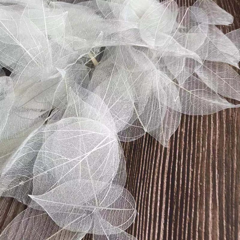 Dried Flower Pressed - 5 ~ 9 см * 2