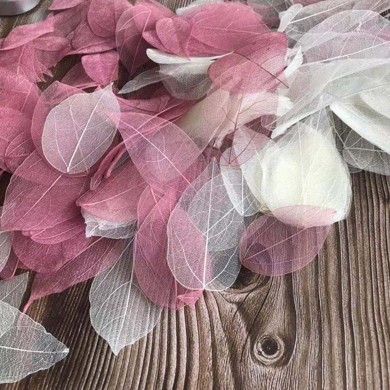 5 ~ 9 см * 2 ~ 3,5 см, 100 шт. – обзор и цена Dried Flower Pressed