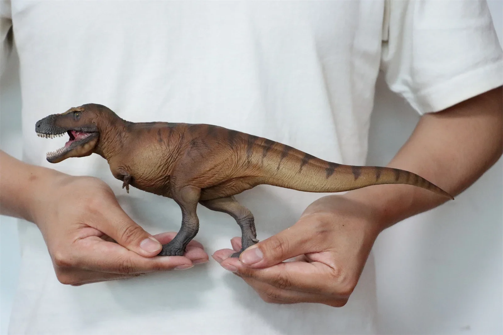 Модель PNSO 1/35 Тираннозавр Р – обзор и цена Resin Art Decoration Items